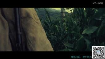 迷失在线观看 第3张 迷失在线观看 第3张